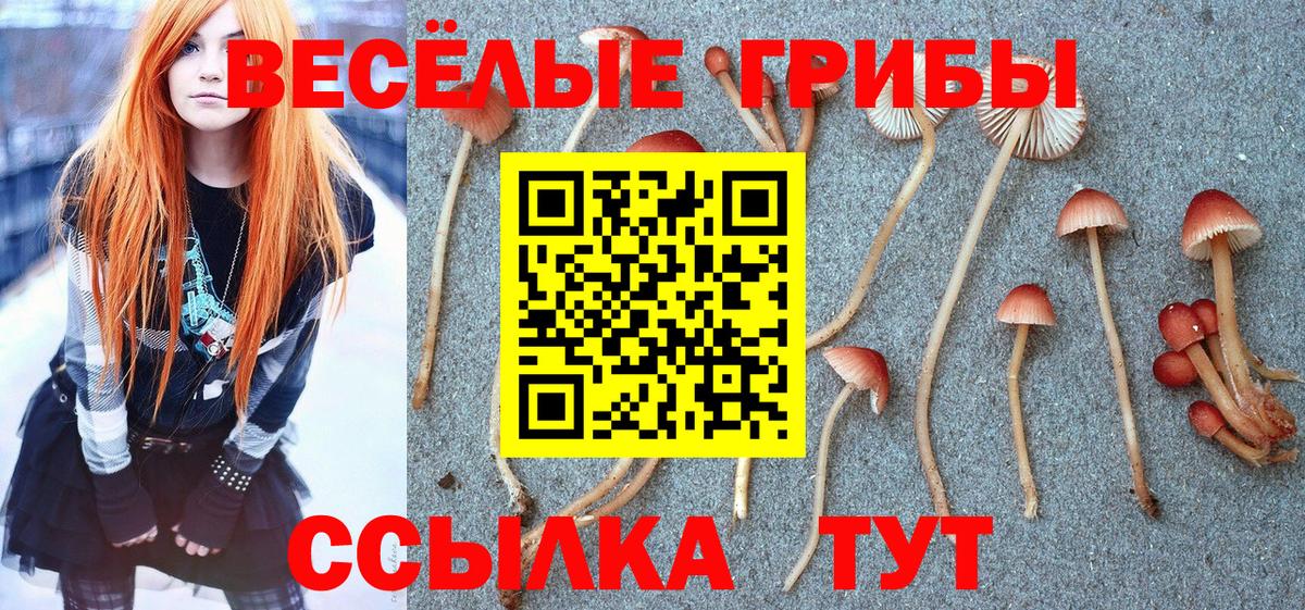 Галлюциногенные грибы Psilocybine cubensis Оренбург