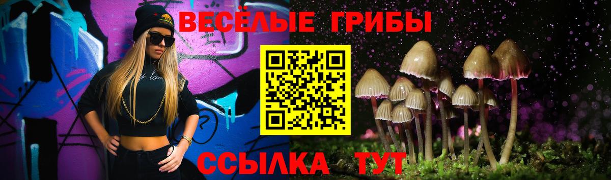 Галлюциногенные грибы Psilocybe  Вход с VPN  Оренбург 